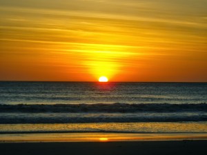 tmp_28252-image-95719444